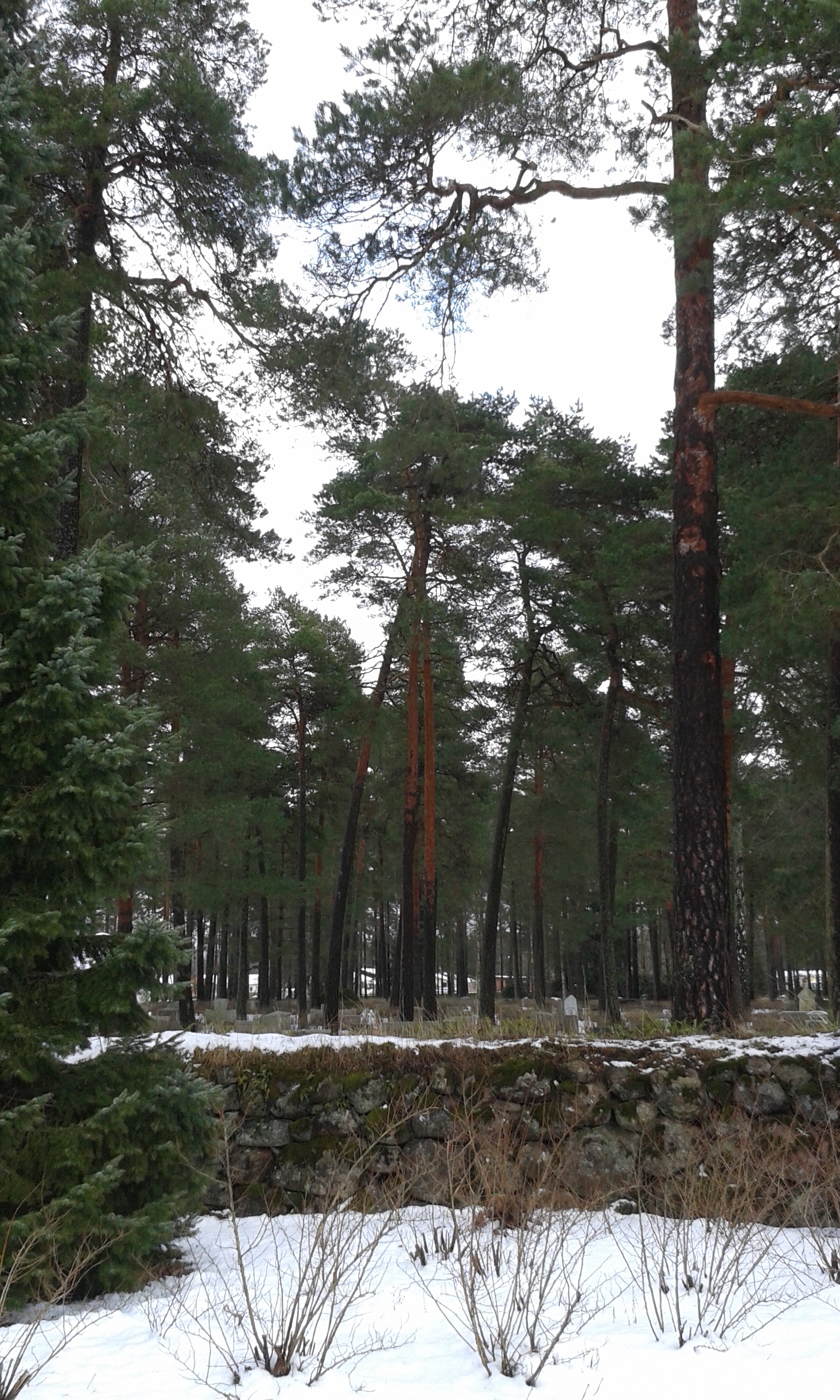 SkogskyrkogÃ¥rden i Skillingaryd